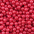 4844 (11)